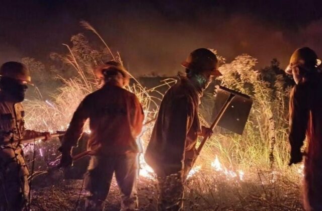 Paz solicita investigación por incendios en Bolivia ante sospechas de delitos ambientales