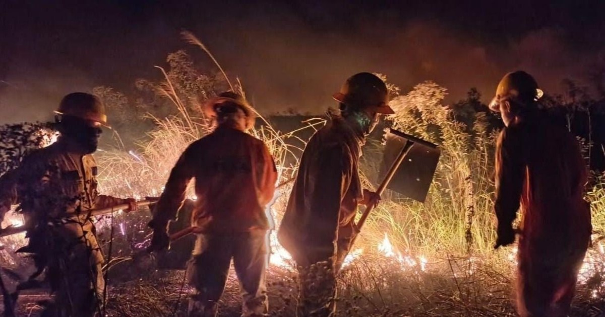 Paz solicita investigación por incendios en Bolivia ante sospechas de delitos ambientales