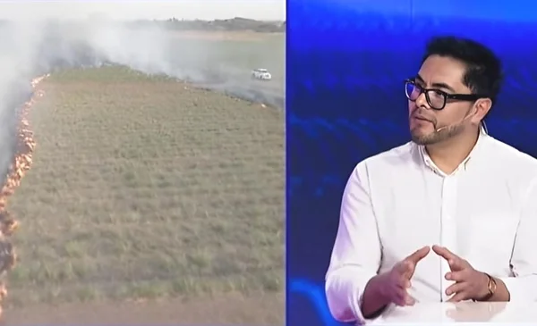 Urgente llamado a derogar leyes que fomentan incendios forestales en Bolivia