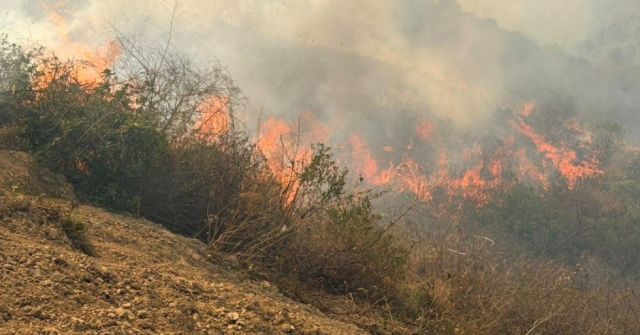 Gobierno boliviano evalúa la renta de aeronaves para combatir incendios forestales