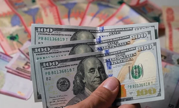 Devaluación del peso boliviano alcanza el 72% tras un mes de dólar flexible