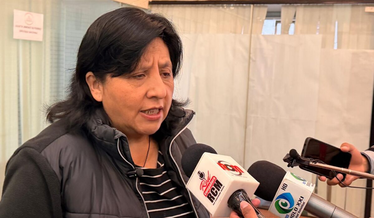 Alternativas para regularizar vehículos indocumentados en debate