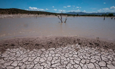 Fuerte impacto del fenómeno El Niño se extenderá hasta enero de 2024