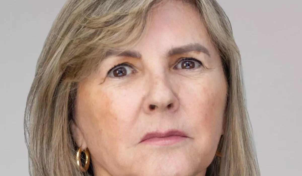 Diputada exige aclaraciones sobre compra de vehículo Audi por parte del Ministro de Economía