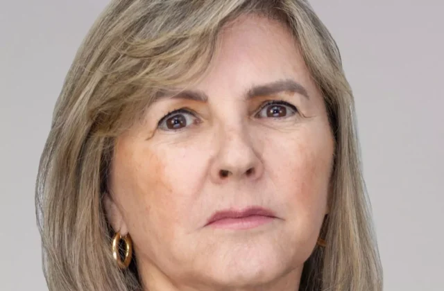 Diputada exige aclaraciones sobre compra de vehículo Audi por parte del Ministro de Economía