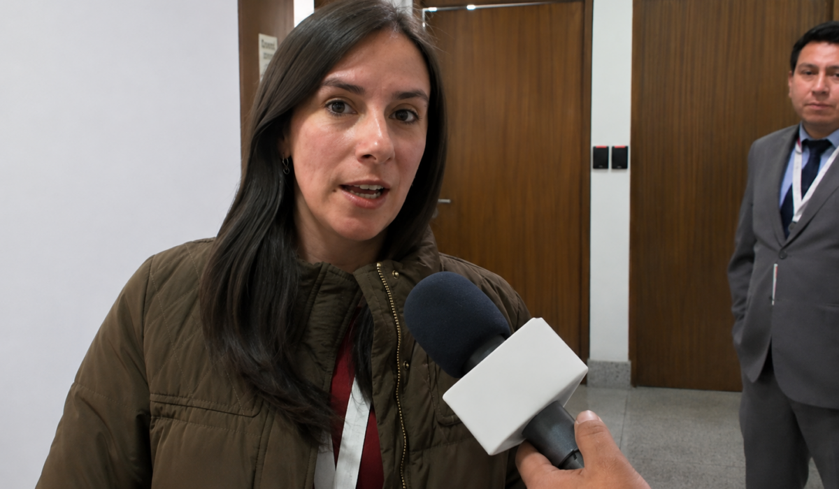 Ballivián cuestiona a Sokol por falta de acción contra Evo Morales