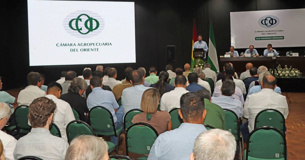 Reunión urgente de la CAO para abordar escasez de diésel