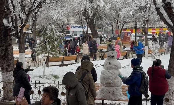Oruro se llena de nieve y alegría en una jornada inusual