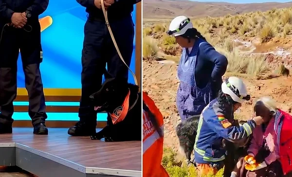 La valentía de los canes de rescate: hallan a una anciana en Oruro