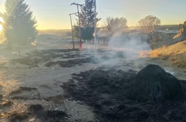 Controlan incendio forestal en Machacamarca gracias a la rápida intervención de bomberos