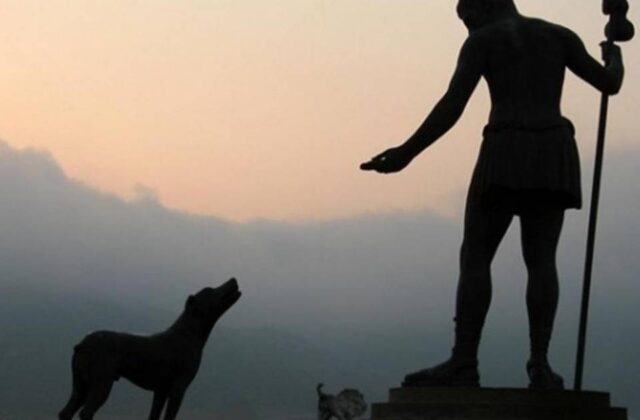 Celebración de San Roque: Un homenaje a nuestros amigos peludos