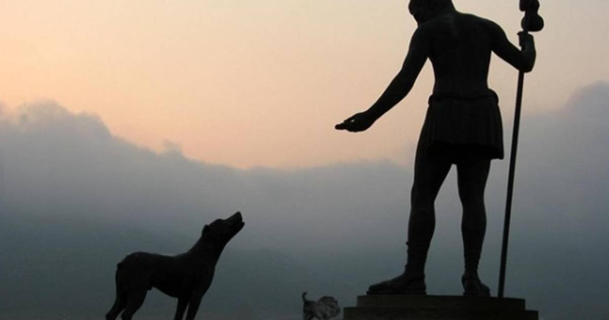 Celebración de San Roque: Un homenaje a nuestros amigos peludos