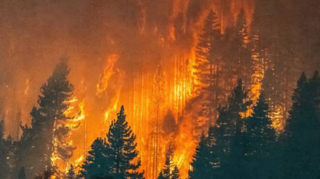 Incendios devastan 6 millones de hectáreas en Europa y América del Norte