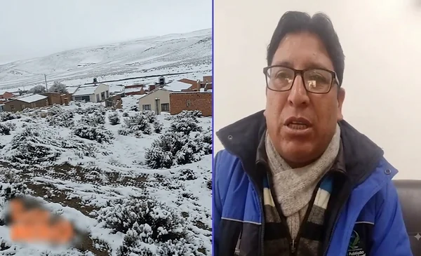 Nevadas en Uyuni amenazan el ganado camélido y afectan a familias