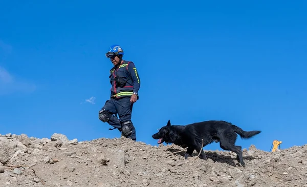 Perros rescatistas logran salvar a una mujer desaparecida en Oruro
