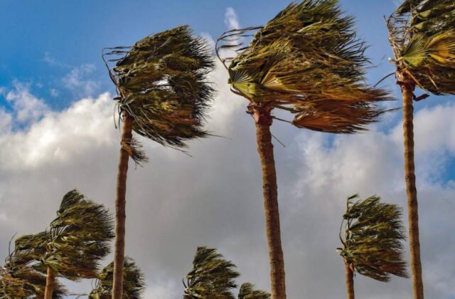Alerta naranja por vientos intensos y nevadas en varios departamentos