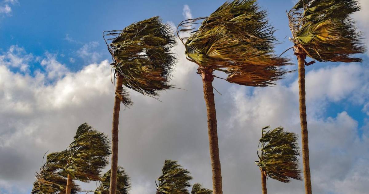 Alerta naranja por vientos intensos y nevadas en varios departamentos