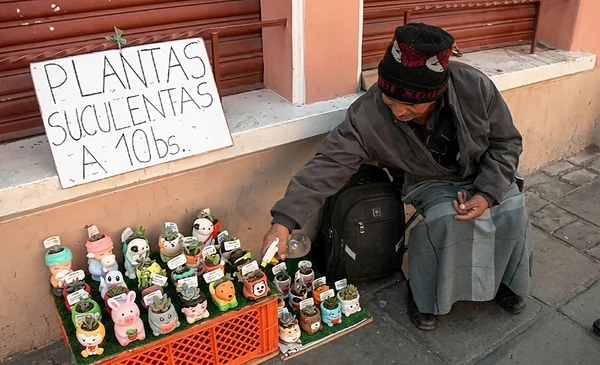 Don Basilio, un luchador de 73 años que vende plantas en Oruro