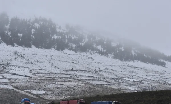 Impacto de nevadas y lluvias en Bolivia: más de 100 mil familias afectadas