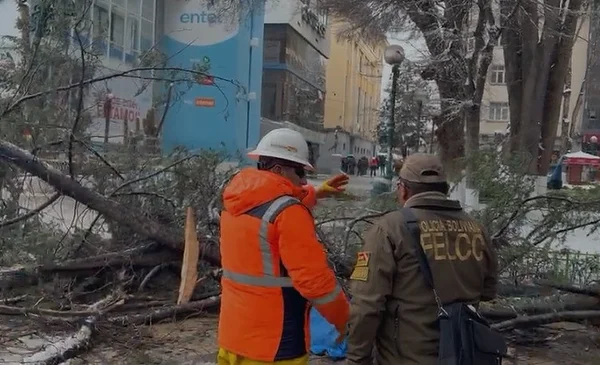 Fallece mujer en Oruro tras caerle un árbol durante nevada