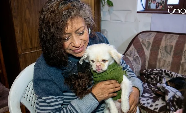 Silvia y su compromiso con los animales: un amor que trasciende lo material