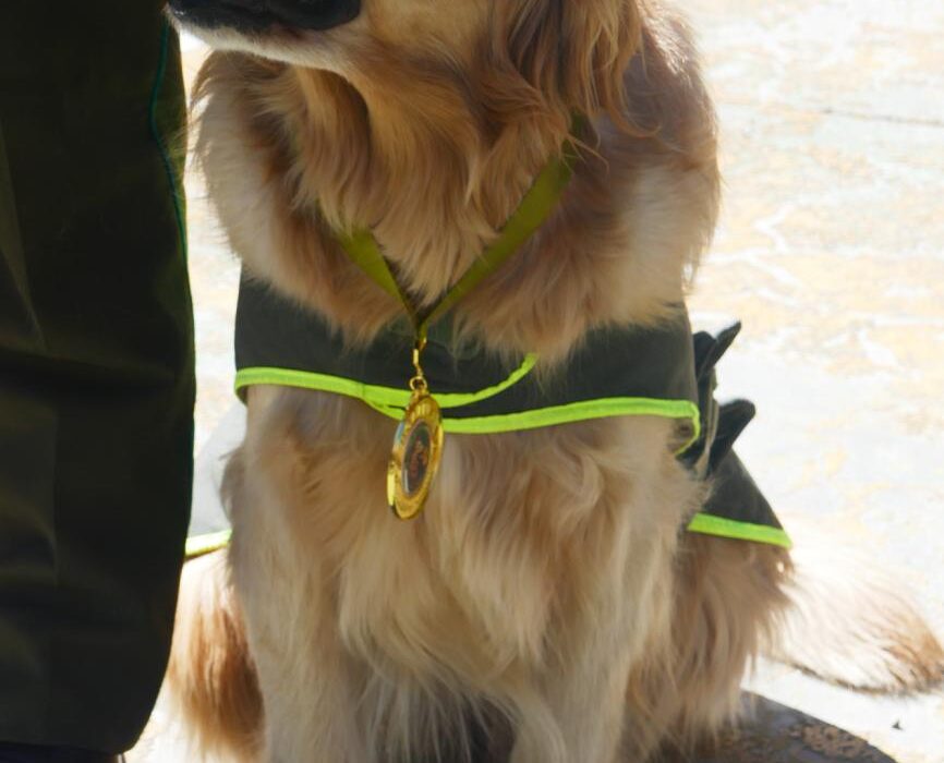 Siete perros de la policía se retiran con honores en Oruro