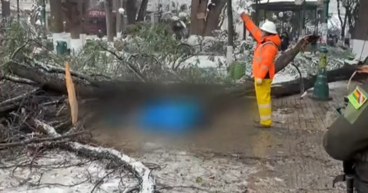 Trágica muerte de una mujer por caída de árbol en Oruro