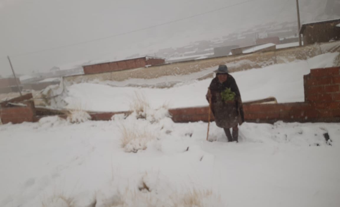Atención urgente a familias de Potosí tras inusuales nevadas