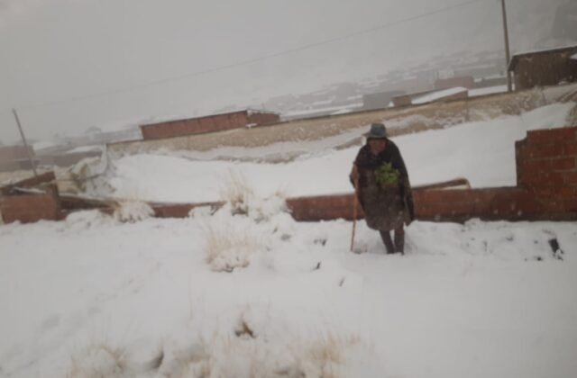 Atención urgente a familias de Potosí tras inusuales nevadas