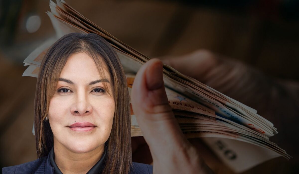 Perspectivas alentadoras sobre la Ley de Inversiones: diputada propone diálogo previo