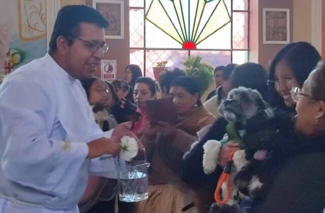 Misas y bendiciones de mascotas en La Paz por San Roque