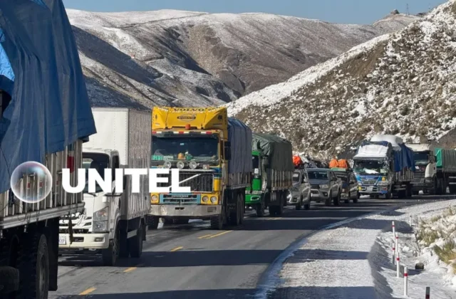 Más de 26.000 familias afectadas por nevadas en Oruro, Potosí y La Paz