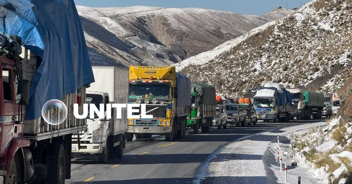 Más de 26.000 familias afectadas por nevadas en Oruro, Potosí y La Paz