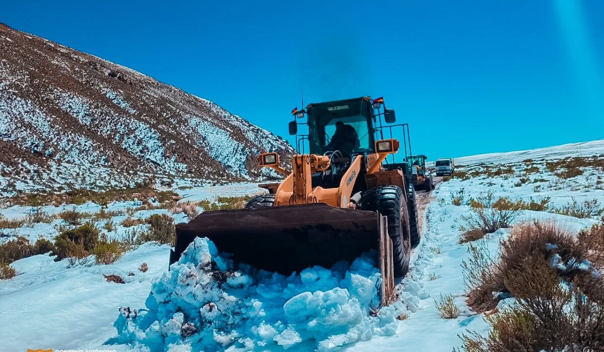 Potosí enfrenta severas nevadas que afectan a 20 municipios