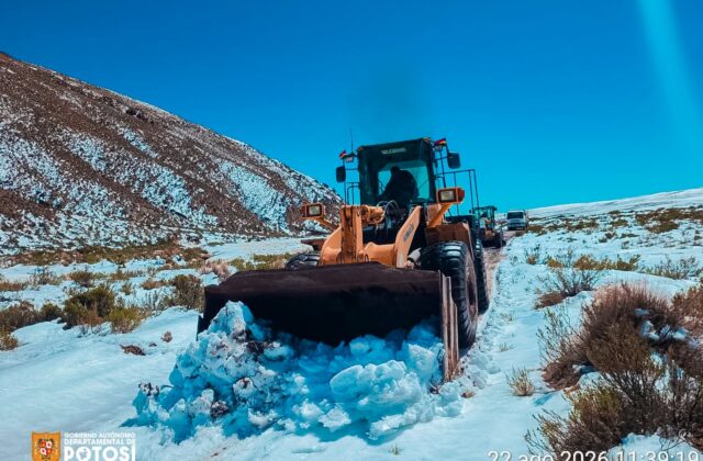 Potosí enfrenta severas nevadas que afectan a 20 municipios