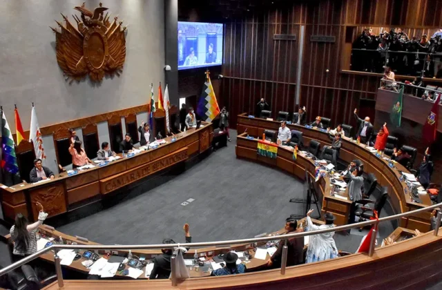 El Senado evalúa el crédito del FMI por $us 1.900 millones