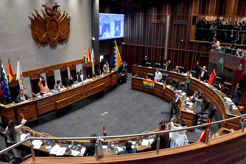 El Senado evalúa el crédito del FMI por $us 1.900 millones