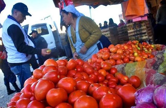 Alerta sobre residuos de plaguicidas en tomates bolivianos