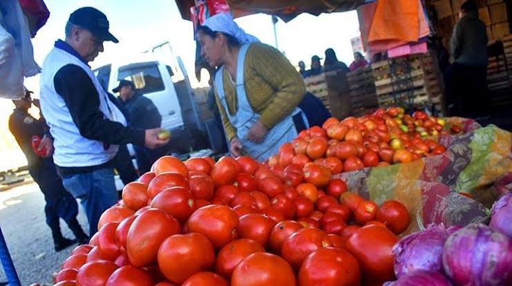 Alerta sobre residuos de plaguicidas en tomates bolivianos