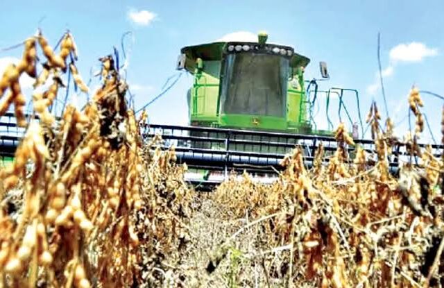Día Mundial de la Agricultura: Desafíos de la Agricultura Boliviana ante la Escasez de Diésel y el Clima Extremo