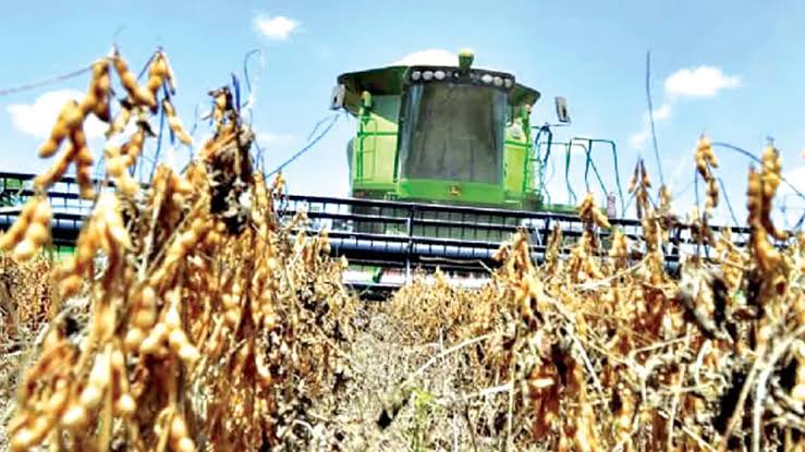 Día Mundial de la Agricultura: Desafíos de la Agricultura Boliviana ante la Escasez de Diésel y el Clima Extremo