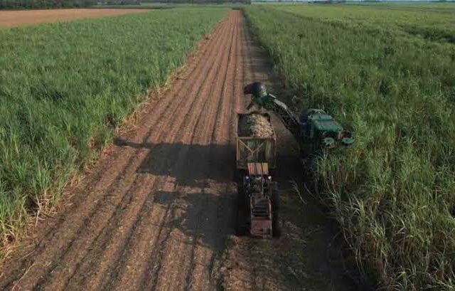Exención de Aranceles e IVA para Maquinaria e Insumos en Ocho Sectores Productivos