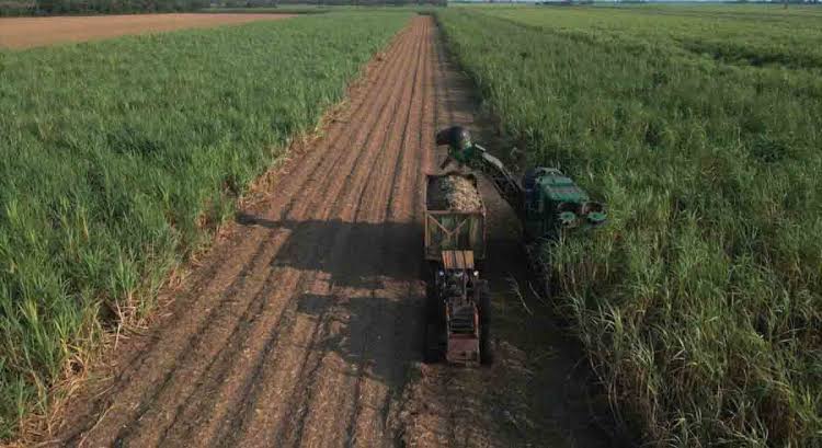 Exención de Aranceles e IVA para Maquinaria e Insumos en Ocho Sectores Productivos