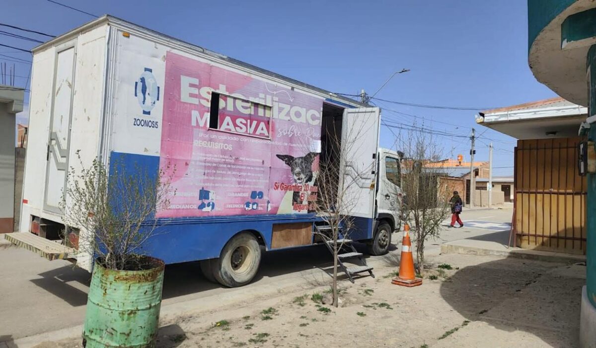 Suspensión temporal de esterilizaciones para mascotas en Oruro por aumento del diésel