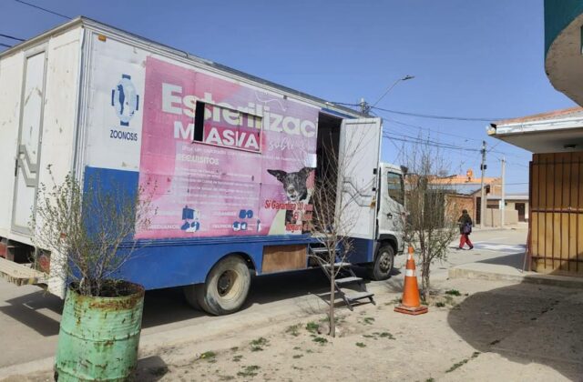 Suspensión temporal de esterilizaciones para mascotas en Oruro por aumento del diésel