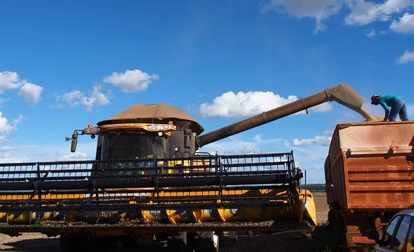 Conoce los cuatro tipos de créditos al 6% y 6,5% para impulsar tu producción