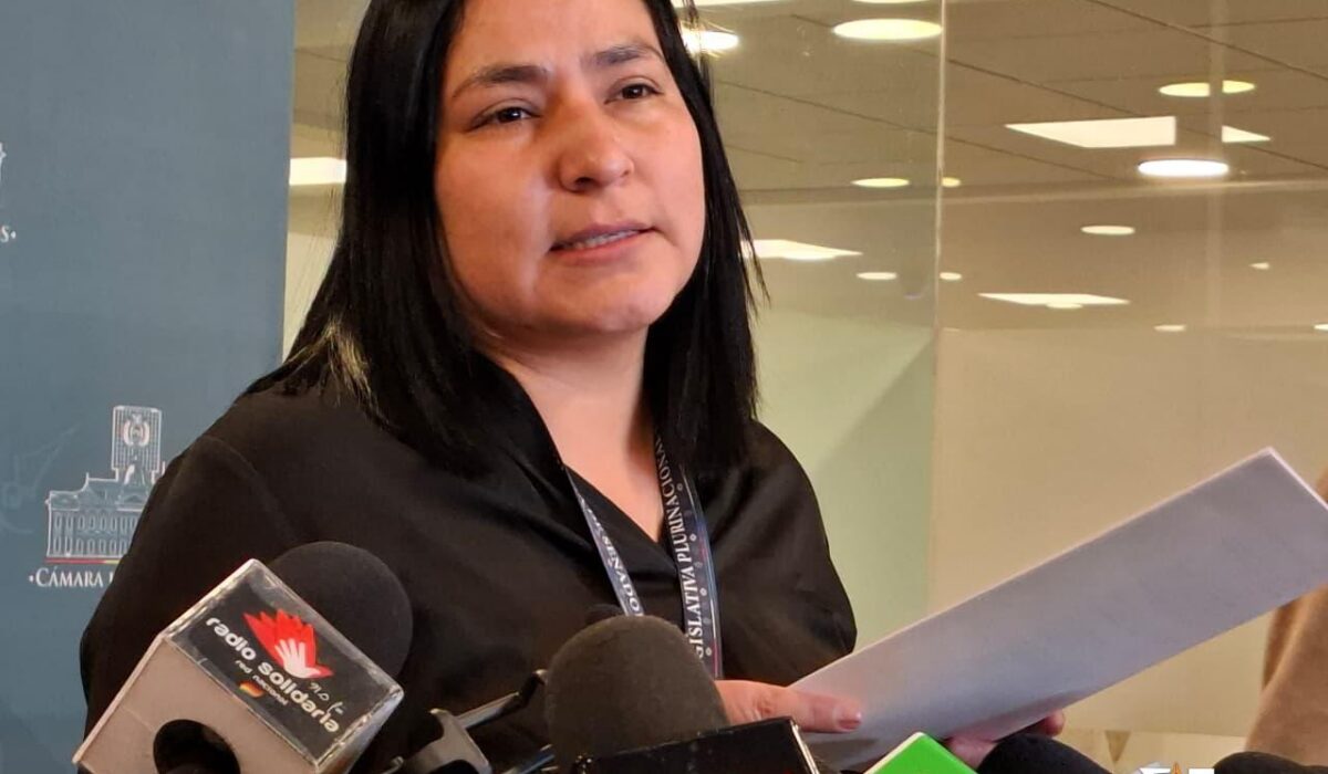 Propuesta legislativa para abaratar servicios básicos en Bolivia