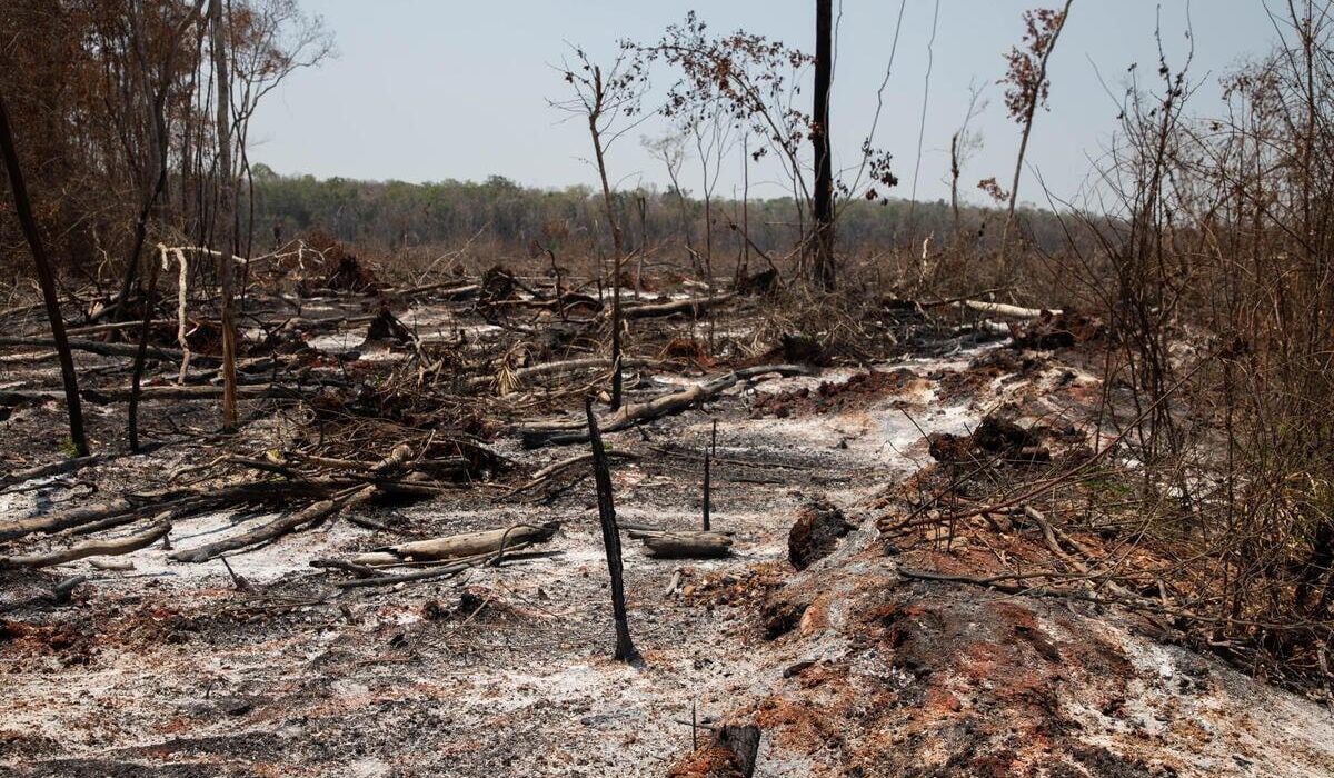Impacto de la deforestación y el cambio climático en la temperatura de Bolivia