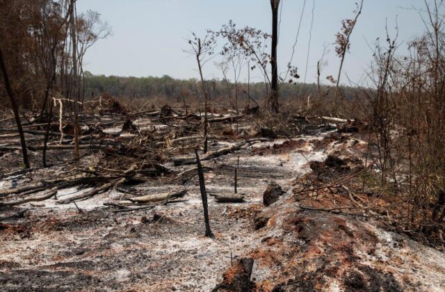Impacto de la deforestación y el cambio climático en la temperatura de Bolivia