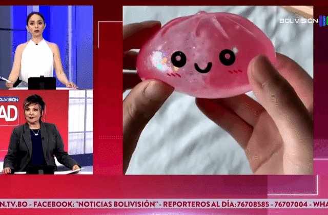 Falta de registro sanitario pone en jaque al Dumpling Squishy en Bolivia